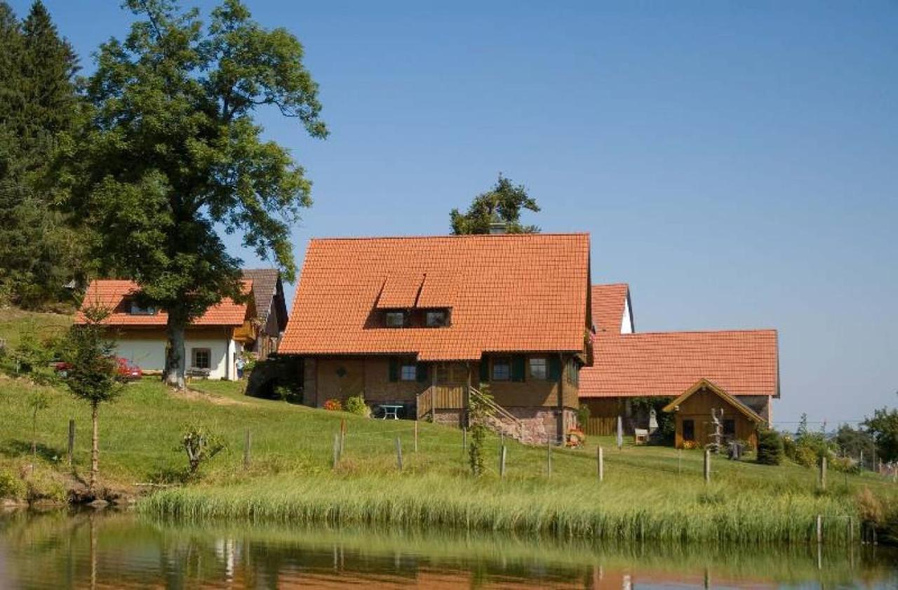 Ferienhof Kienbronnerhof Schiltach Dış mekan fotoğraf